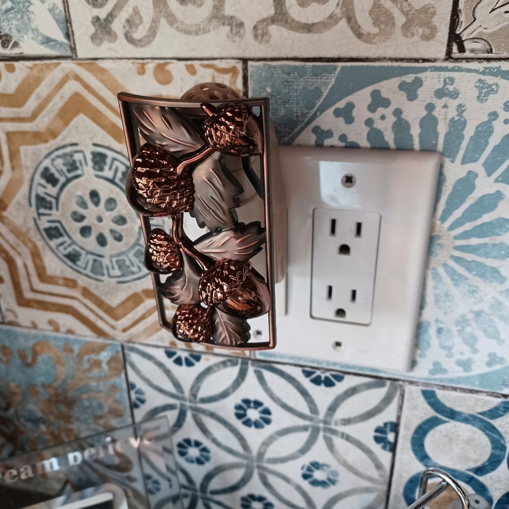 Wallflowers plug in adapter
